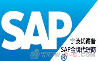 宁波sap公司 erp系统开发 宁波达策